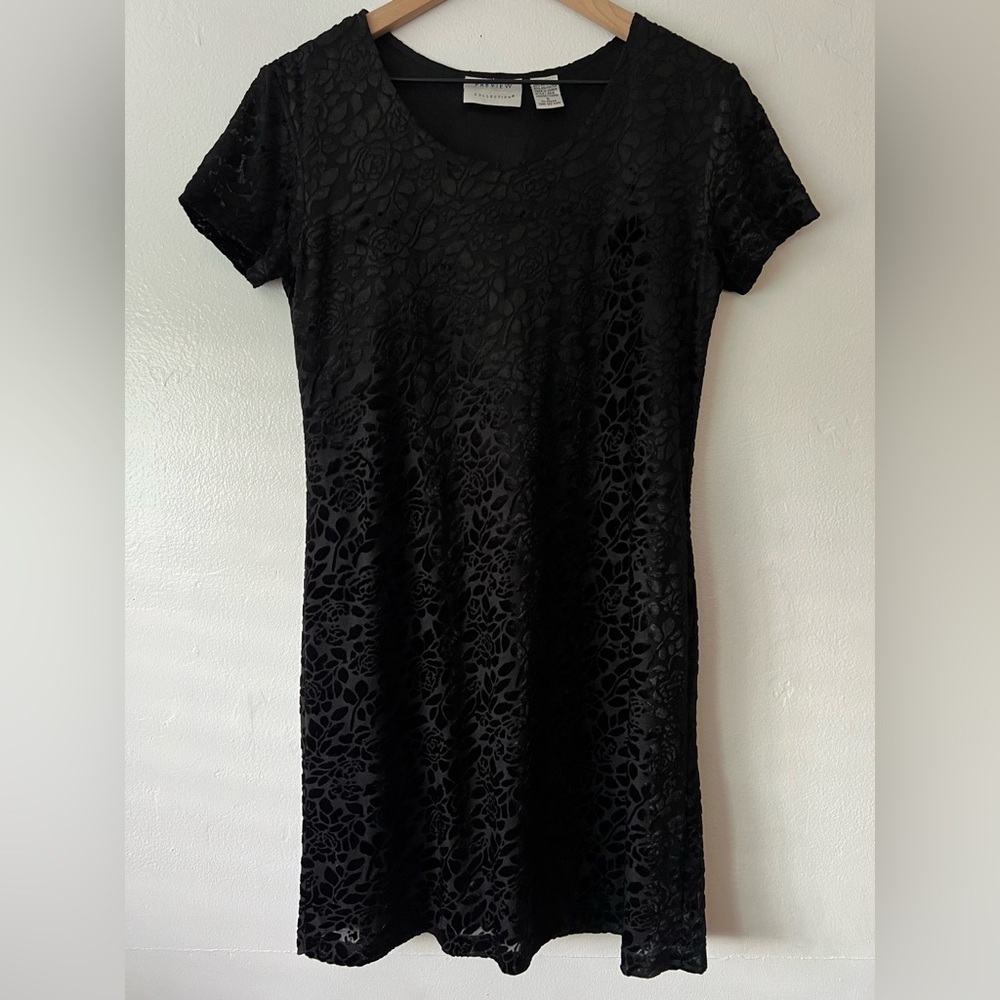 Vintage Preview Collection Velvet Rose Dress